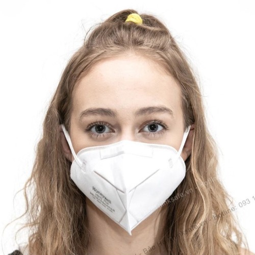 Honeywell H910 Plus N95 Particulate Respirator